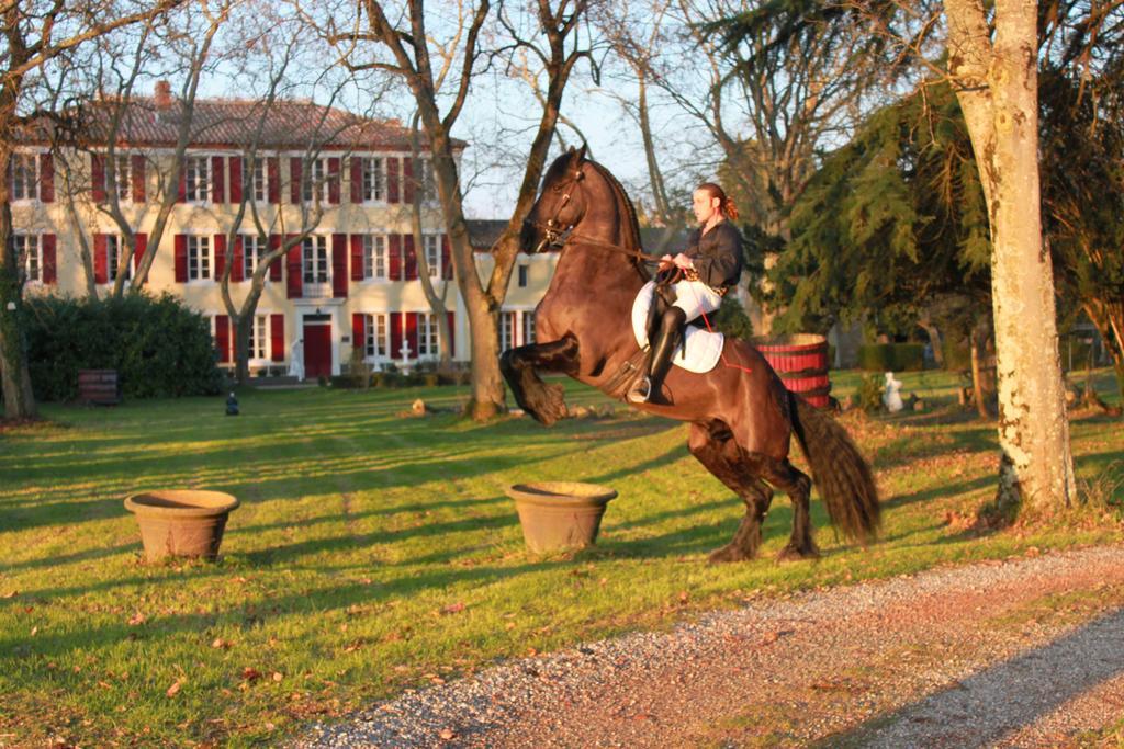 Le Relais Du Silence Chateau Lavail Labastide-dʼAnjou エクステリア 写真