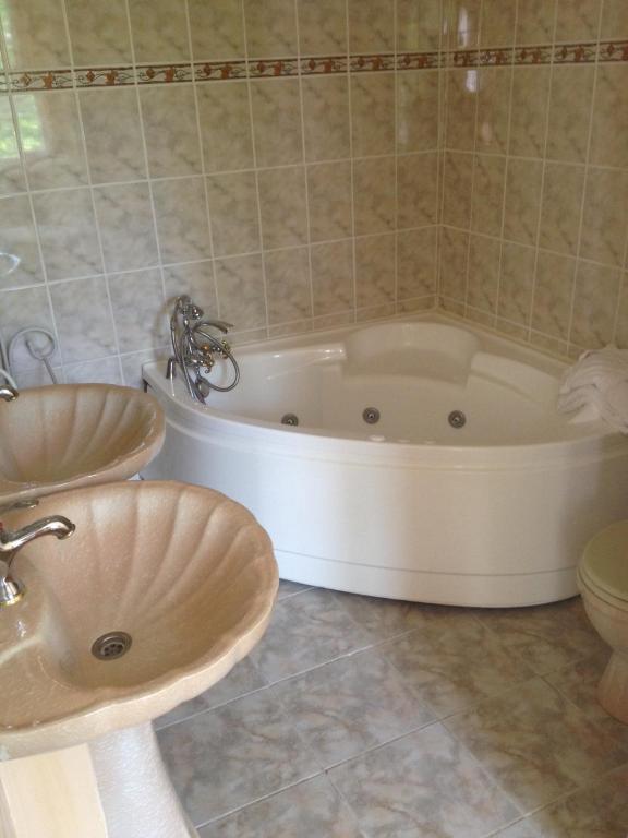 Le Relais Du Silence Chateau Lavail Labastide-dʼAnjou 部屋 写真